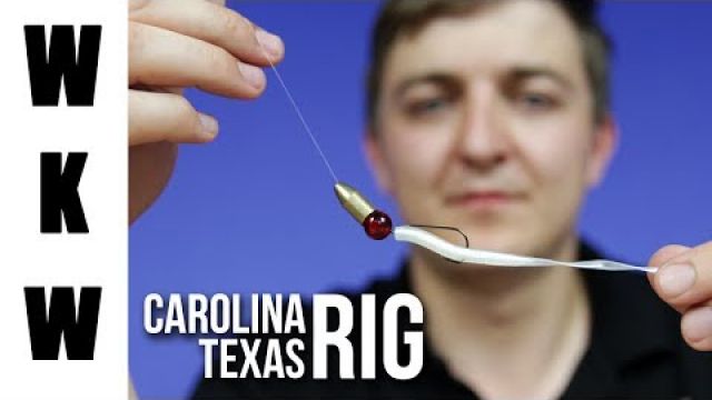 Carolina Rig i Texas Rig jako alternatywna metody połowu okoni | Poradnik wędkarski | Wędkarstwo