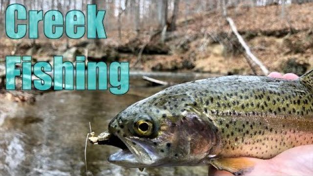Trout Fishing an ICY COLD Creek! (Winter Fishing Tips)