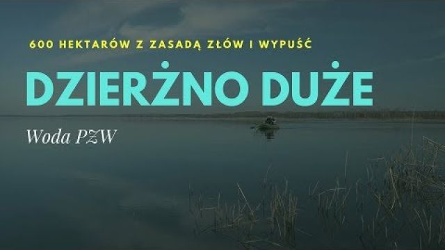 600 hektarowa woda PZW z zasadą "Złów i wypuść" / Jezioro Dzierżno Duże / Reportaż
